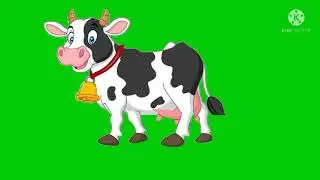 Cow Walking Green Screen