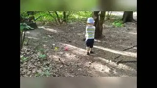 Белочки в парке Кутузово