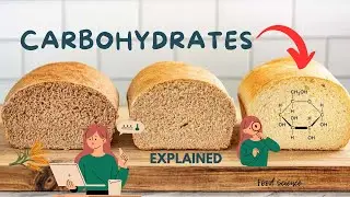 Carbs 101 | The Essentials in 3 Minutes | #001 | Food Science | Food Technology | Food Nutrition