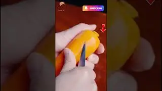 Amazing Knife Art||Relaxing Video| Engio Fun
