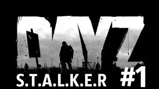 Dayz S.T.A.L.K.E.R #1 - Подбиты WAT?
