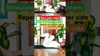 Lower Back Tension & Pain Relief 🔥 #backpainrelief #yoga #stretching #tips