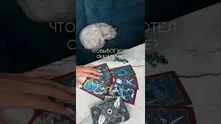 ЧТОБЫ БОГ ХОТЕЛ СКАЗАТЬ МНЕ? 🙏🏻таро расклад