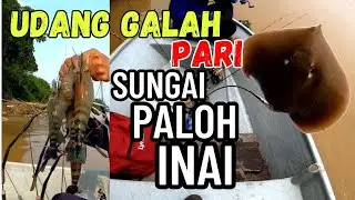 Memancing Udang Galah Sungai Paloh Inai Pekan Pahang