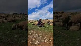 Al Fadimem Tarık Kara ( BOZKIRIN AVAZI )