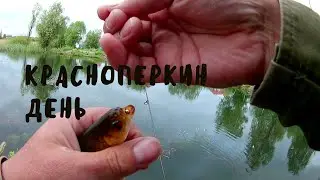 красноперкин  день мормышинг.