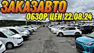 ЗАКАЗ АВТО   ОБЗОР ЦЕН 22.08.24 #автоподбор #automobile #kiacarnival #обзор #обзор #авто #подборавто
