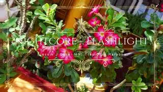 NIGHTCORE - FLASHLIGHT → Jessie J Cover MN Trap Dipa Haryono