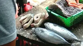 amazing fastest cutting fish at village street fish market