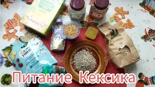 Питание пожилой крысы/каша для крыс #моилюбимки #листиккексикмишутка #твимз #крысы #животные #rats