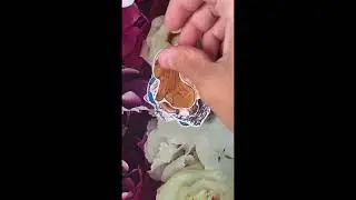 Наклейки с капибарой