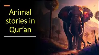 animal stories in Qur'an 2023