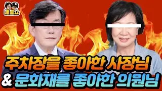 주차장을 좋아한 사장님 & 문화재를 좋아한 의원님 (손남손녀 논란)