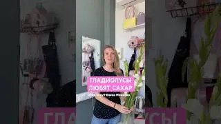 ГЛАДИОЛУСЫ ЛЮБЯТ САХАР! #цветы #обзор