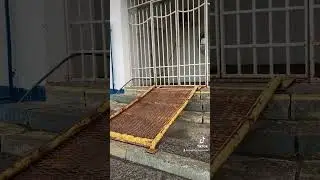 Это высший пилотаж ИДИОТИЗМА