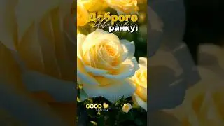 Доброго ранку!☀️Гарного дня! Сонячного настрою в будь-яку пору року)!💛