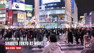 Shibuya Tokyo at Night: Walking Tour (4K / ASMR)