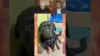 СМЕХ С ВОДОЙ😂: ЛУЧШЕЕ  ПРИКОЛЫ ПОПРОБУЙ НЕ ЗАСМИЯТЬСЯ 4
