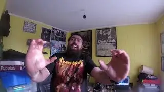 Iron Maiden - Fear of the Dark - Vocal Cover