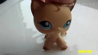 Когда Соня...