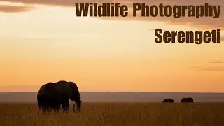 The Most Luxurious Camp I've Ever Stayed in - Serengeti