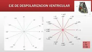 ELECTROCARDIOGRAMA fácil de entender