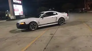 Mustang burnouts