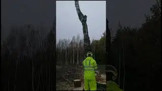 Бешеный лесоруб полная версия!!))