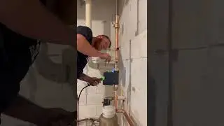 Mone flu #plumbing #plumber #shorts