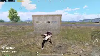 إنها الدبس ياساده