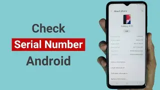 How to Check Serial Number on Android