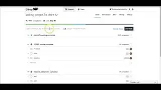 Review: Blimp