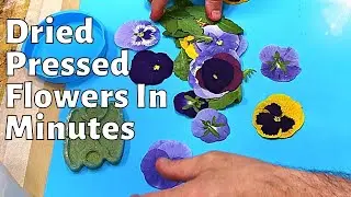 A Must Have If You Want To Quickly Dry & Press Flowers