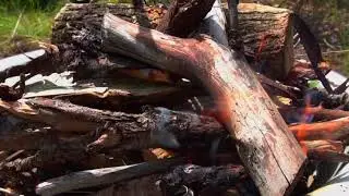 Майский тёплый день на даче