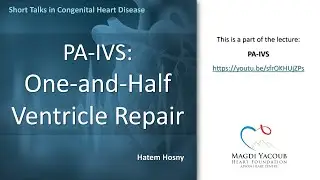 PA-IVS: One-and-Half Ventricle Repair - Hatem Hosny