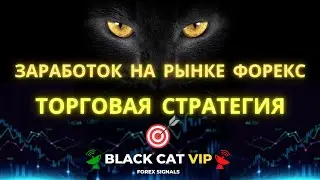 ЗАРАБОТОК НА РЫНКЕ ФОРЕКС. Торговая стратегия. Форекс сигналы.