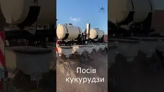Посів кукурудзи сівалкою Kinze 3505