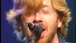 Phish: Back On The Train