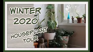 WINTER HOUSEPLANT TOUR 2020
