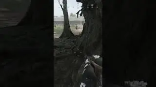 Using decoys #gaming #trendingshorts #twitch #fypシ #ps5 #twitter #huntshowdown #tiktok #fyp #shorts