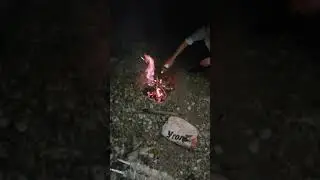 Вечерний шашлык