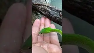 Funny Clips 32