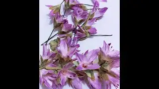 Цветы из фоамирана!!!Декоративная веточка с нежными цветами!!