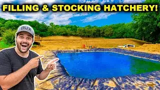 FILLING and STOCKING My BACKYARD Fish HATCHERY for the First Time!!!