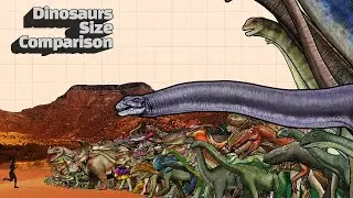 Dinosaur Size Comparison | 공룡 크기 비교 | Animated Size Comparison | Know the size of a dinosaur