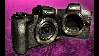 NEW Canon EOS R VS EOS M50 Blind Video Comparison Test!