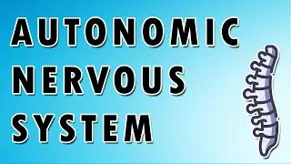 Autonomic Nervous System Dynamics