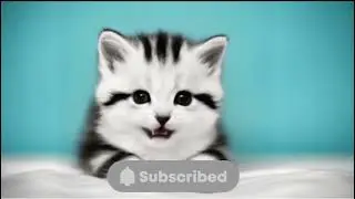 Apt song cat version