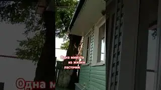 Жизнь в хуторе