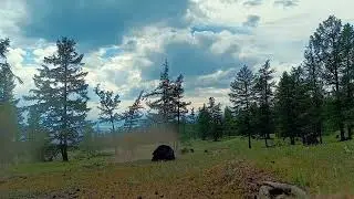 Северная монголия, п. Ханх, оз. Хубсугул. дорога к пику Мунку-Сардык